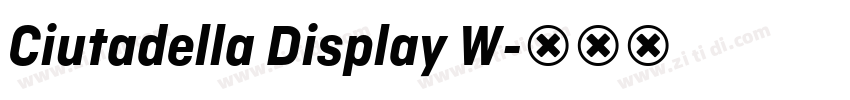 Ciutadella Display W字体转换